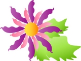 vector (147)
