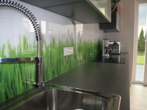 steklo v kuhinji trava